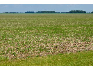 Property photo 23 - LAND AUCTION - 700+/- ACRES OFFERED IN 16 TRACTS IN ALLEN COUNTY, INDIANA
